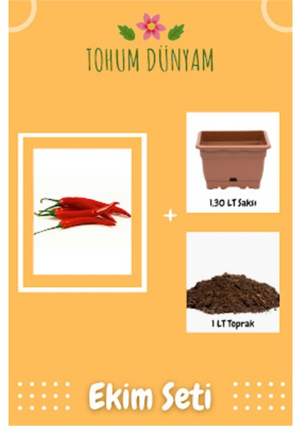 Chili - Meksika Acı Biber Tohumu Ekim Seti