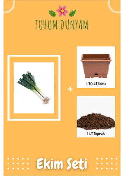 Bursa Inegöl Pırasa Tohumu Ekim Seti