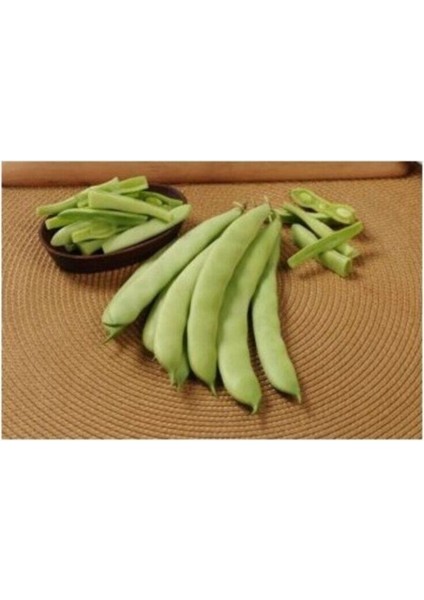 Agrobazaar Sarıkız Fasulye Tohumu 10+ Adet Tohum