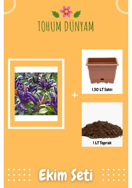 Yediveren Mor Süs Biberi Tohumu Ekim Seti