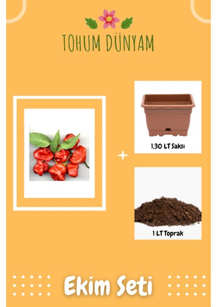 Nadir Ithal Kırmızı Gül Biberi Tohumu Ekim Seti