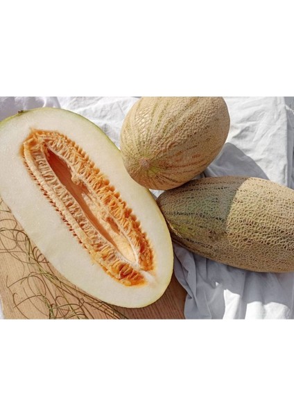 10 Adet Özbekistan Kavunu Tohumu