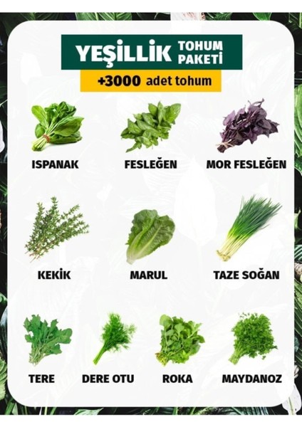 10 Çeşit Yeşillik Tohum Paketi 3000 Tohum