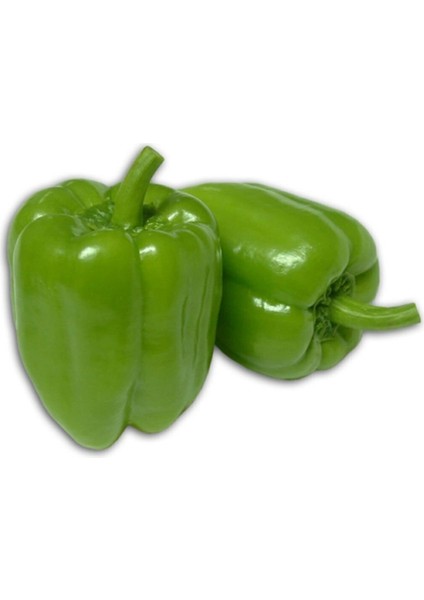 Meşhur Antep Acı Dolmalık Biber Tohumu 10 Adet Dolmalık Biberi Tohumu