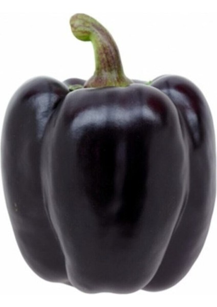 Ithal Nadir Mor Dolmalık Biber Tohumu 10 Adet Tohum