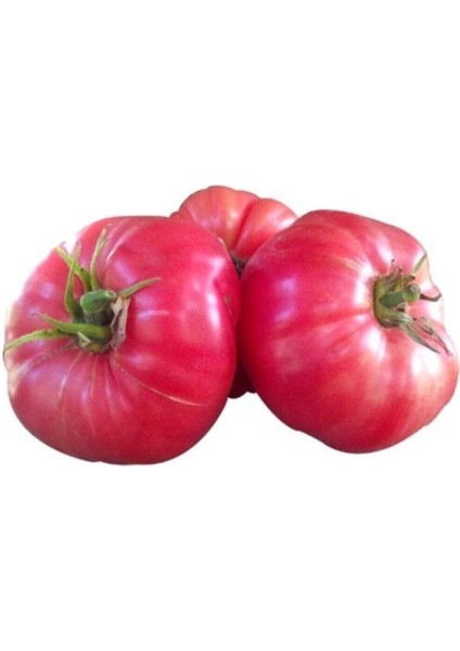 Nadir Iri Pembe Domates Tohumu 20 Adet Tohum Bulgar Domatesi