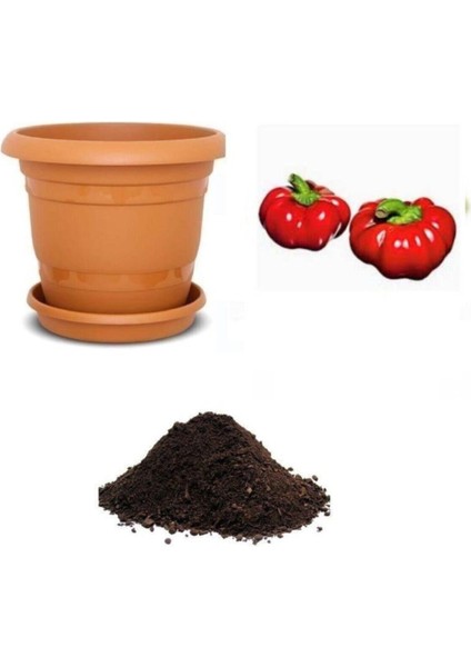 Nadir Ithal Peynir Biberi Tohumu Ekim Seti