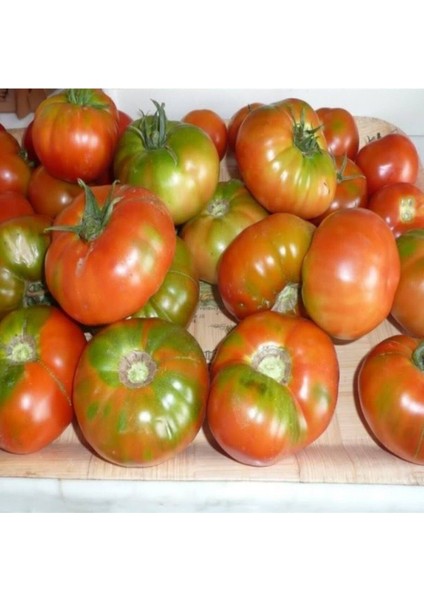 Mis Kokulu Yayla Domatesi Tohumu