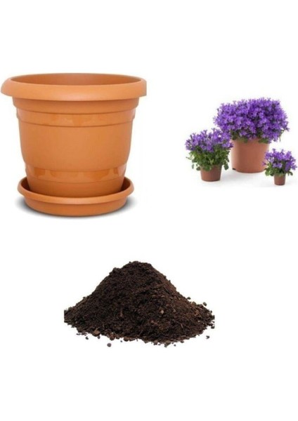 Mor Çan Çiçeği Tohumu Ekim Seti