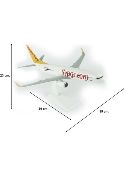 Pegasus 737-800 Yolcu Uçağı, 1/100 Ölçek Sergilemeye Hazır Plastik Standlı Model
