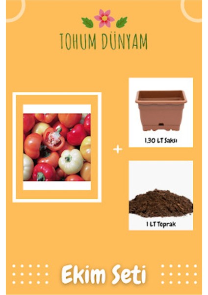 Paprika Çok Renkli Biber Tohumu Ekim Seti