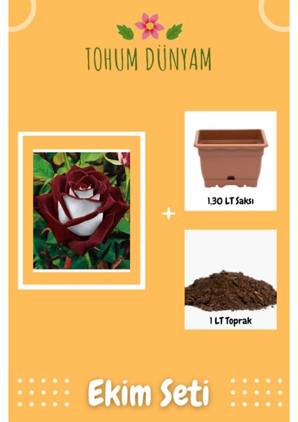 Redwhite Gül Tohumu Ekim Seti