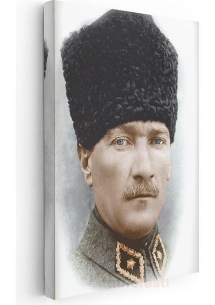 Kalpaklı Komutan - Renkli Askeri Portre Kanvas Tablo modelleri