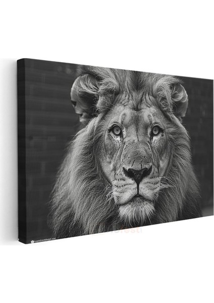 Aslan Portresi - Siyah Beyaz Asaletin Yüzü Kanvas Tablo modelleri