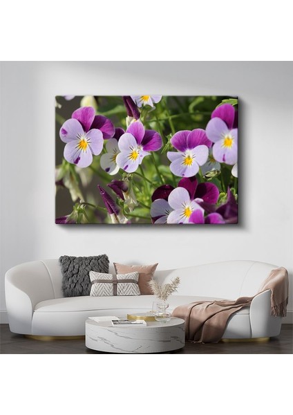 Hercai Menekşeler - Sarı Merkezli Renkli Çiçekler Kanvas Tablo