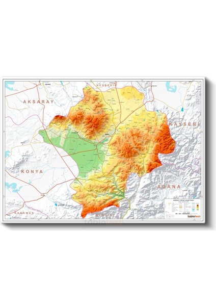 Niğde - Fiziki Haritası Kanvas Tablo fiyatları