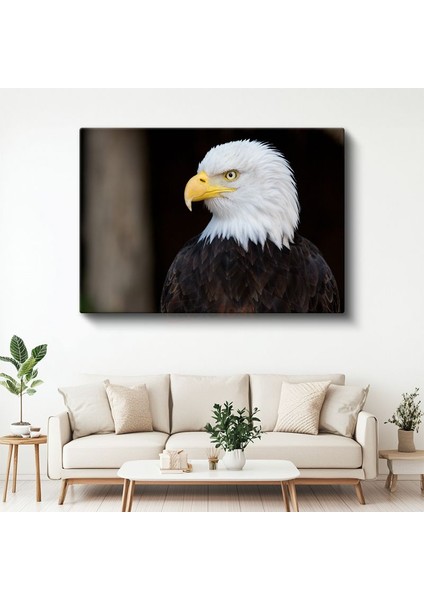 Amerikan Kartalı - Heybetli Yırtıcı Kuş Portresi Kanvas Tablo