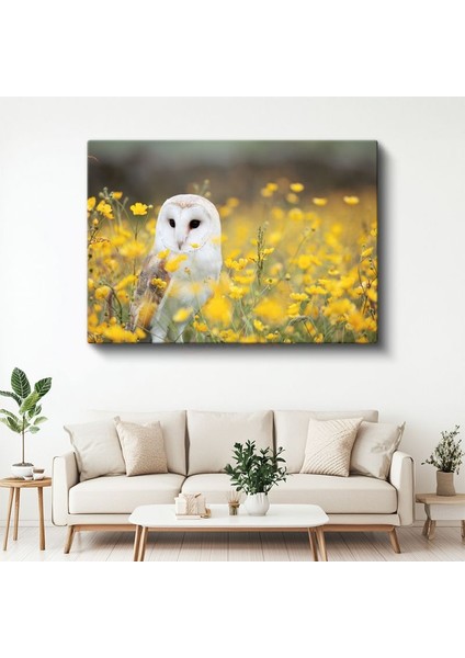 Peçeli Baykuş - Sarı Çiçekler Arasında Zarif Duruş Kanvas Tablo