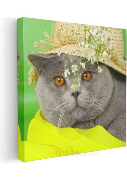Şapkalı Kedi - Bahar Stilinde Sevimli Dost Kanvas Tablo modelleri
