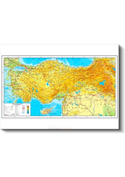 Türkiye - Fiziki Haritası Kanvas Tablo fiyatları
