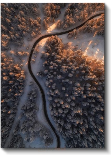 Kıvrımlı Orman Yolu - Altın Işıklı Kış Manzarası Kanvas Tablo fiyatları