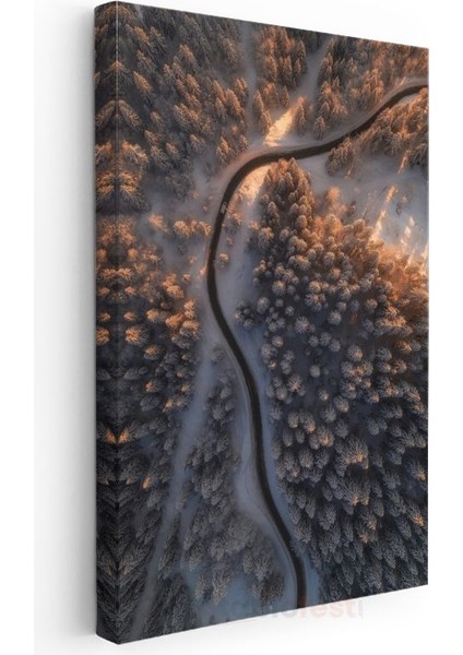 Kıvrımlı Orman Yolu - Altın Işıklı Kış Manzarası Kanvas Tablo modelleri