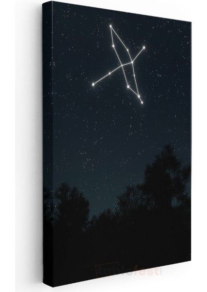 Takımyıldız - Gece Gökyüzünde Parlayan Yıldız Deseni Kanvas Tablo modelleri