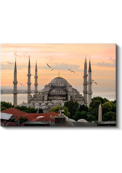 Sultanahmet Camii - Gün Batımında Martılar Kanvas Tablo fiyatları