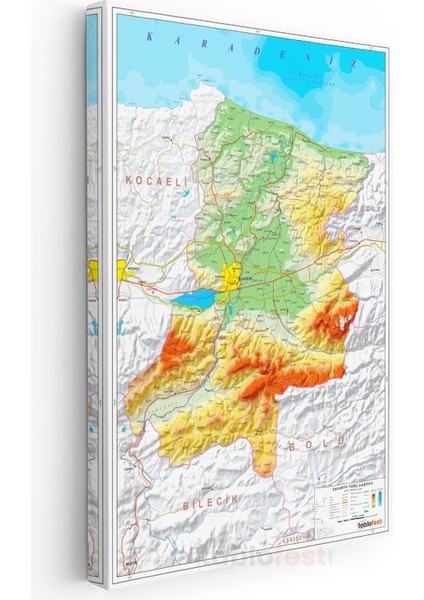 Sakarya - Fiziki Haritası Kanvas Tablo modelleri