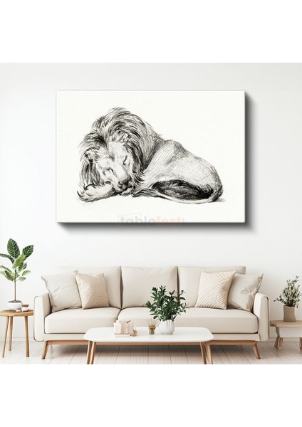 Dinlenen Aslan - Uyku Anında Yaban Hayatı Kanvas Tablo
