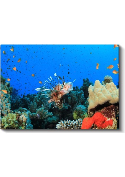 Aslan Balığı - Mercan Resifinin Gösterişli Avcısı Kanvas Tablo fiyatları