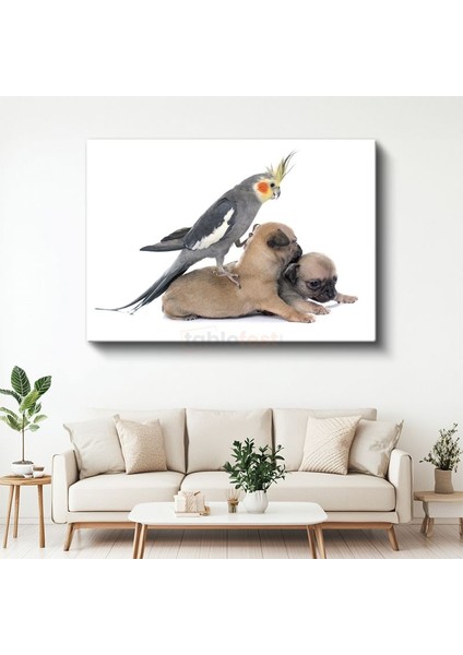 Dostluk Zamanı - Sultan Papağanı ve Yavru Köpekler Kanvas Tablo