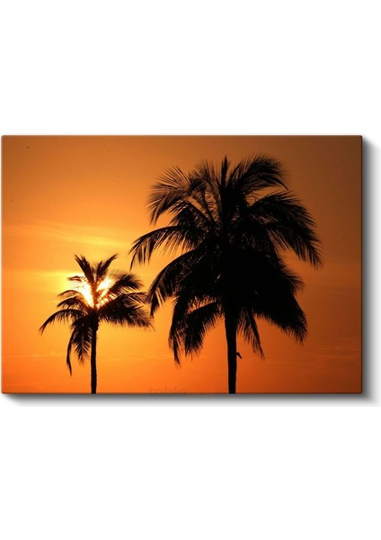 Palmiyeler - Turuncu Gün Batımında Tropik Silüetler Kanvas Tablo fiyatları