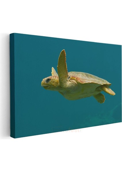 Deniz Kaplumbağası - Turkuaz Suda Özgür Yüzüş Kanvas Tablo modelleri