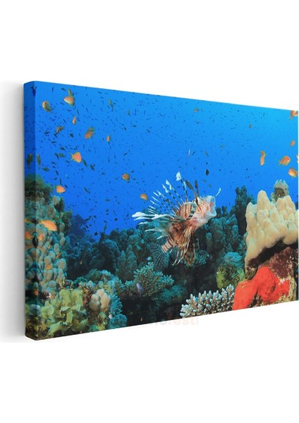 Aslan Balığı - Mercan Resifinin Gösterişli Avcısı Kanvas Tablo modelleri