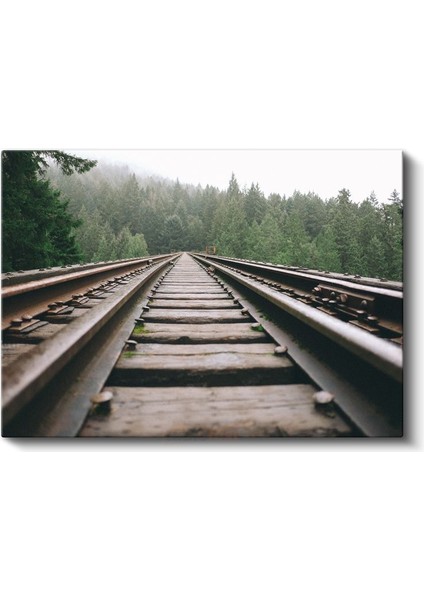 Orman Demiryolu - Sisli Çam Ağaçları Arasında Uzanan Hat Kanvas Tablo fiyatları