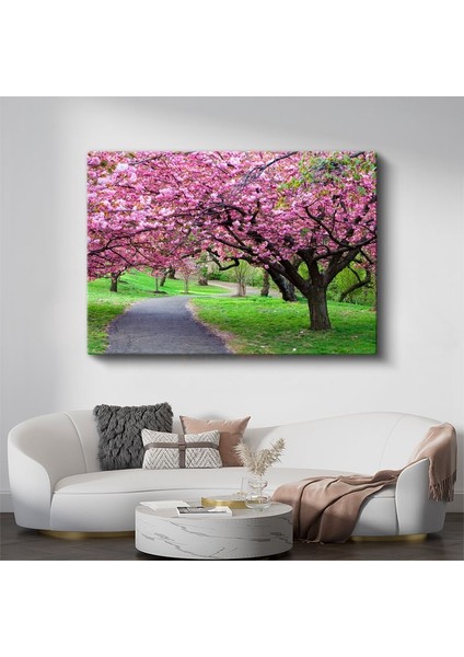 Kiraz Çiçeği Ağaçları - Bahar Parkı Manzarası Kanvas Tablo