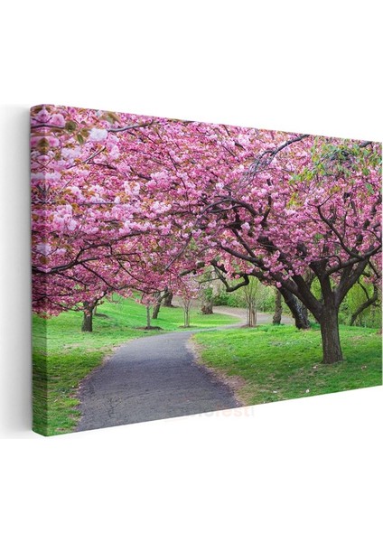Kiraz Çiçeği Ağaçları - Bahar Parkı Manzarası Kanvas Tablo modelleri