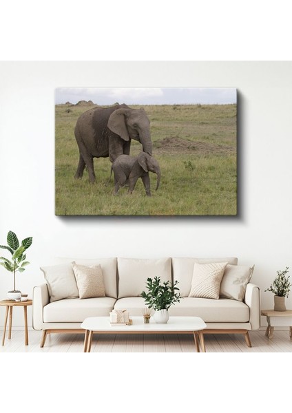 Anne ve Yavru Fil - Doğada Sevgi Bağı Kanvas Tablo