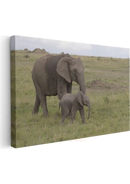 Anne ve Yavru Fil - Doğada Sevgi Bağı Kanvas Tablo modelleri