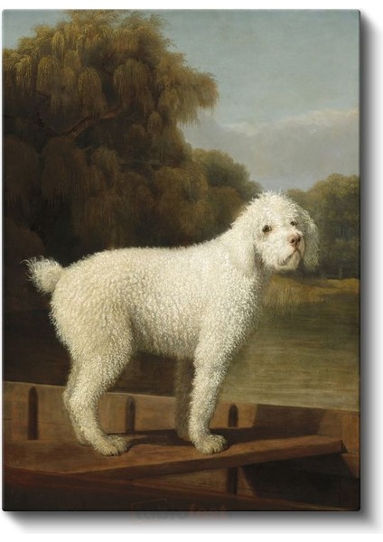 George Stubbs - Beyaz Köpek Portresi Kanvas Tablo fiyatları