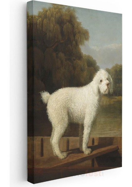 George Stubbs - Beyaz Köpek Portresi Kanvas Tablo modelleri
