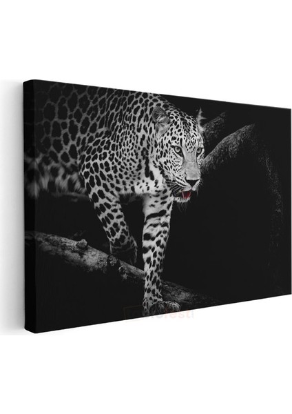 Karanlıktaki Leopar - Gece Avcısı Yırtıcı Kedi Kanvas Tablo modelleri