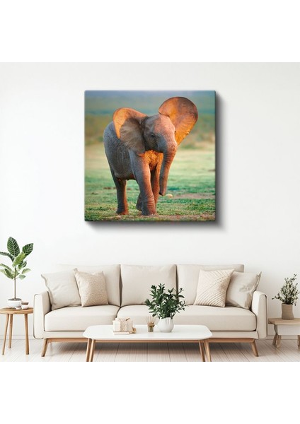 Yavru Fil - Savana Çayırlarının Sevimli Gezgini Kanvas Tablo