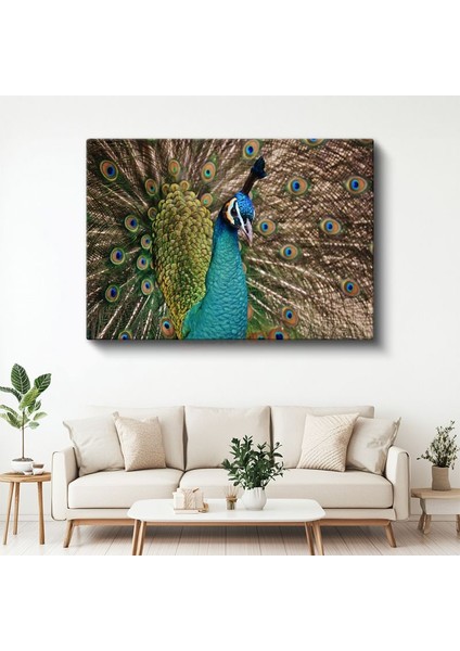 Tavus Kuşu Portresi - Mavi Görkemli Bakışlar Kanvas Tablo
