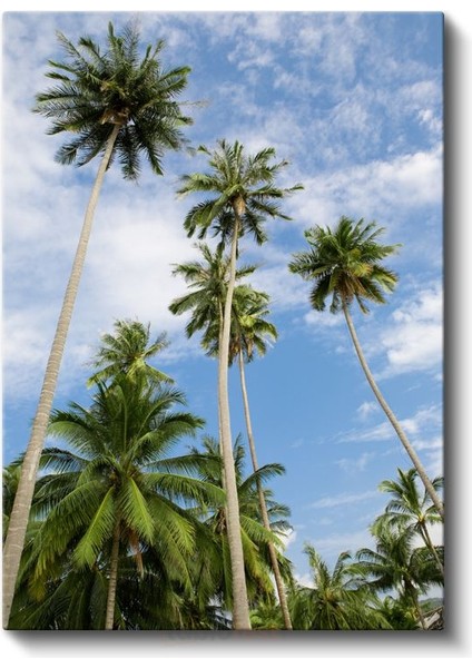 Palmiye Cenneti - Gökyüzüne Uzanan Yeşil Siluetler Kanvas Tablo fiyatları