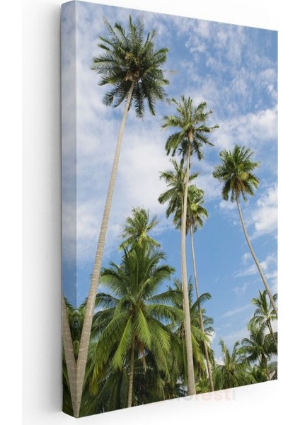 Palmiye Cenneti - Gökyüzüne Uzanan Yeşil Siluetler Kanvas Tablo modelleri