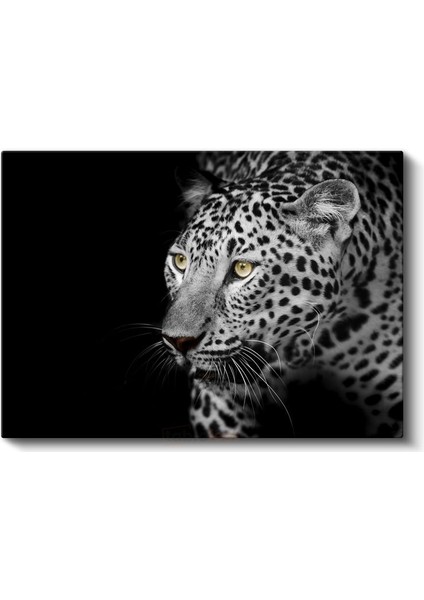 Leopar Portresi - Sarı Gözlü Siyah Beyaz Kanvas Tablo fiyatları