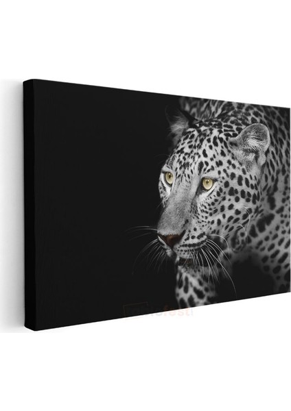 Leopar Portresi - Sarı Gözlü Siyah Beyaz Kanvas Tablo modelleri