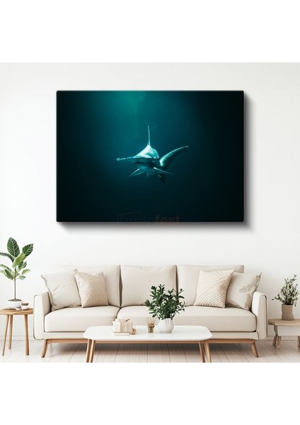 Derin Sularda Köpekbalığı - Karşıdan Bakış Kanvas Tablo